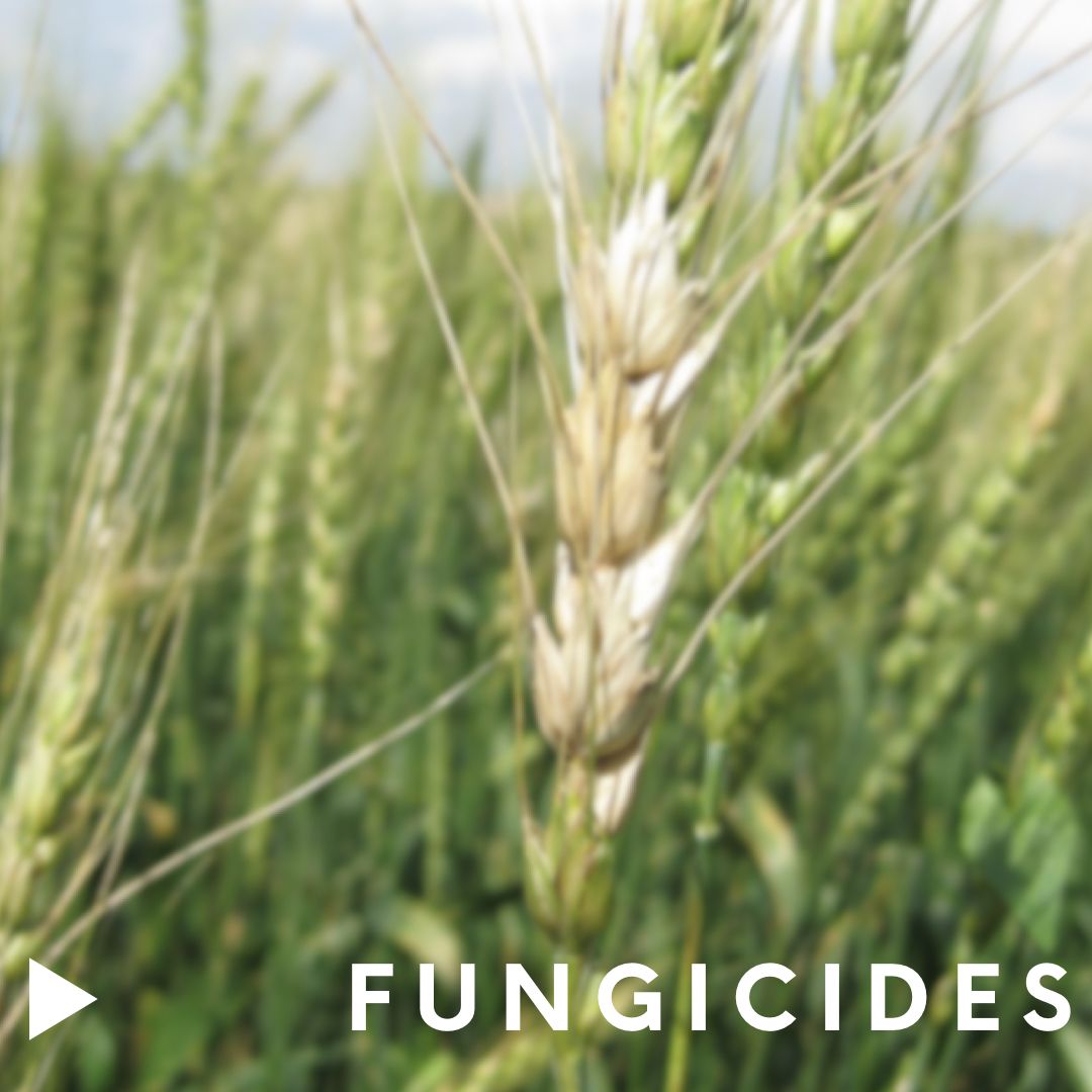 Top Notch Farm Supply tweet media