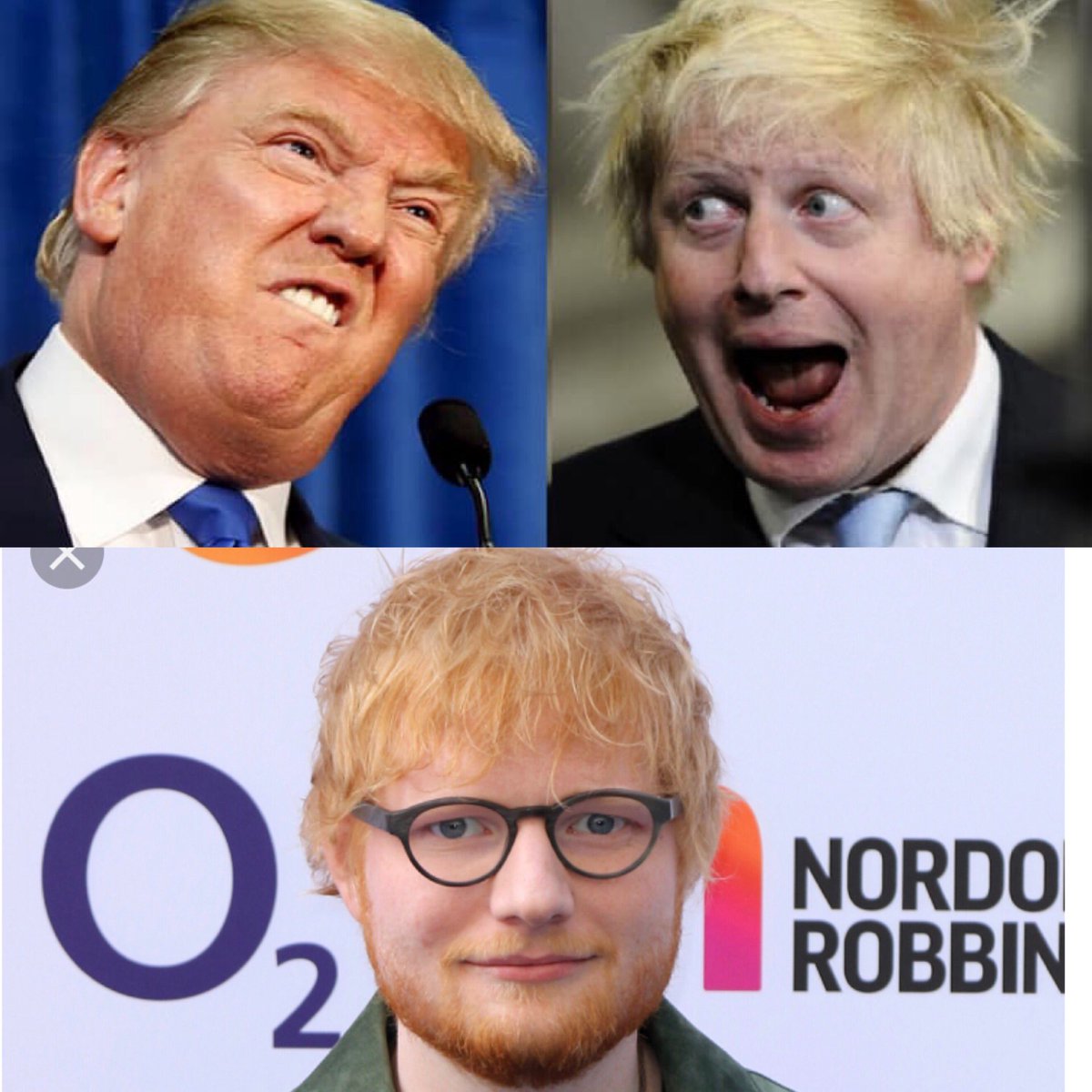 seheikki's tweet photo. There is something in the hair. @realDonaldTrump @BorisJohnson @edsheeran https://t.co/B2sJNxakYh