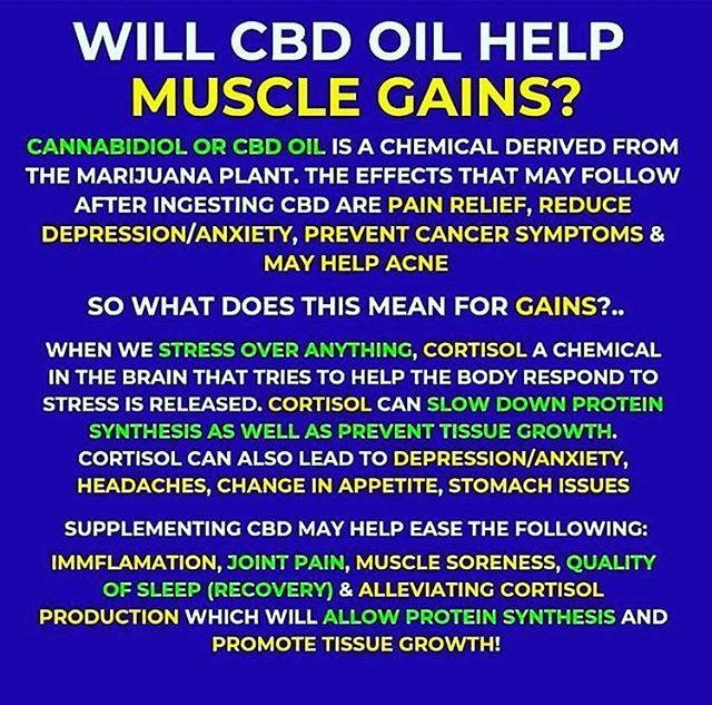 JerryKmiec's tweet photo. The facts of how CBD effects muscle💪🏽gains and recovery in the body🏋🏼 #gainmuscle #cbdfacts #cbdoil #cortisol #cancerprevention #stopanxiety #stopacne #painrelief #reducestress #musclepain #bodybuilding #stopcravings #workoutrecovery https://t.co/86KRJcp3GT https://t.co/rJEFpGu1pD