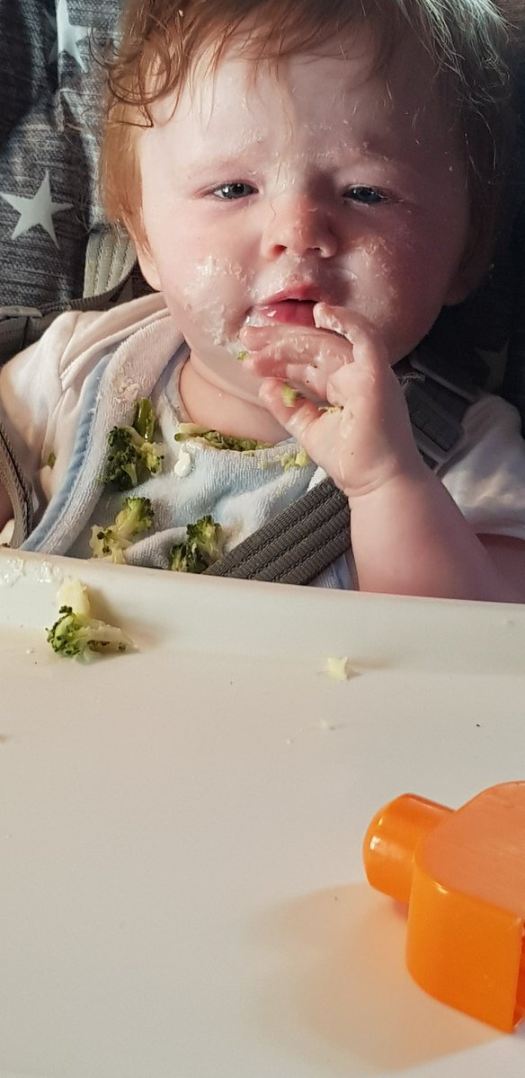 KellySmithdown's tweet photo. @LewisCapaldi Reasons to party before/after 5th aug gig part 2.....its the wee uns 1st birthday and he'll celebrate with a bru while we can have some bucky https://t.co/B7Es67swAQ