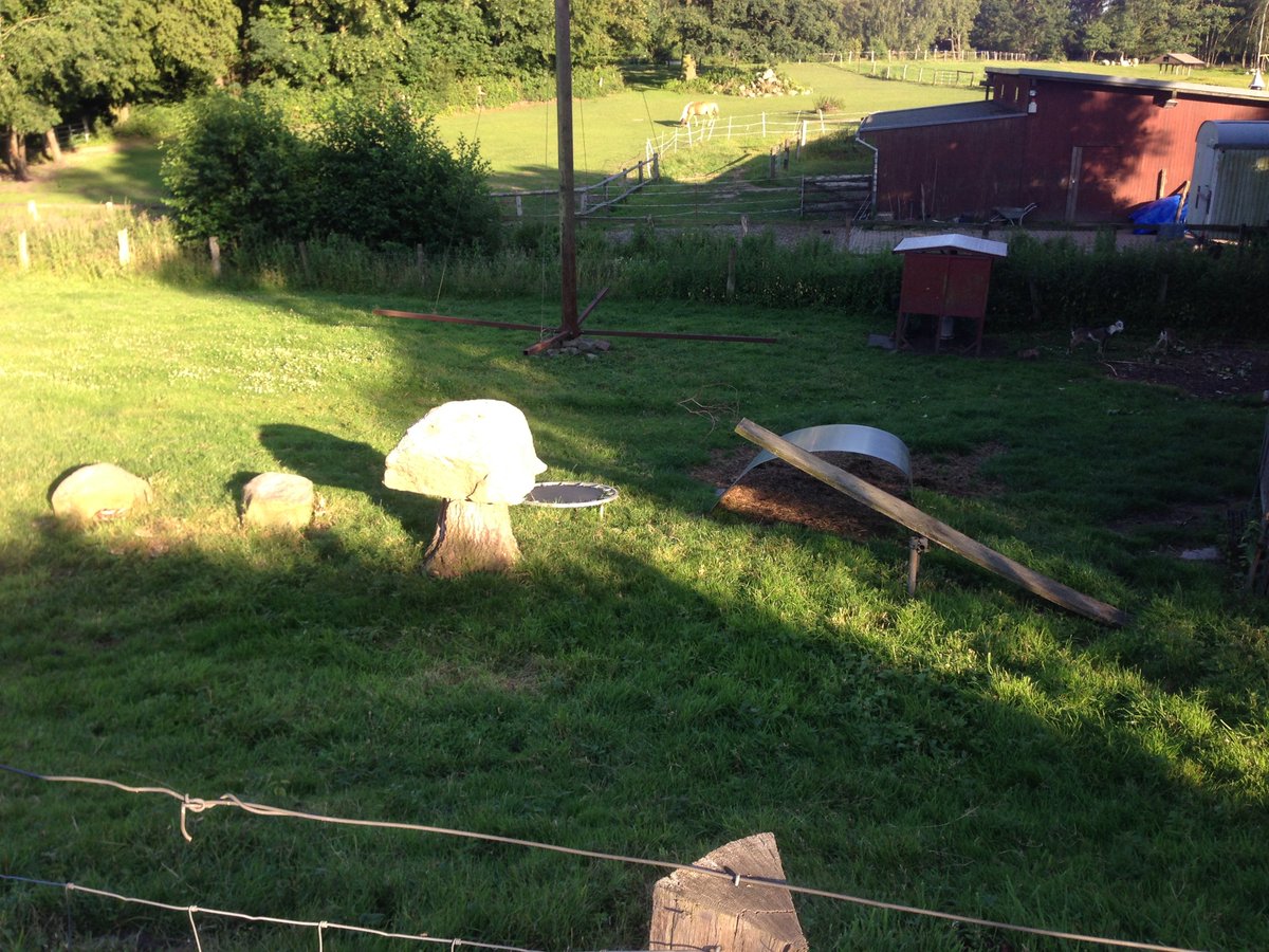 BakhtoshRedclaw's tweet photo. I love seeing these guys at their playgroung on my tuesday &amp; thursday runs. today they weren't in play mode though. 🐐🐐🐐 #NAFlagVisor_Emus https://t.co/RmGU8LGgfF