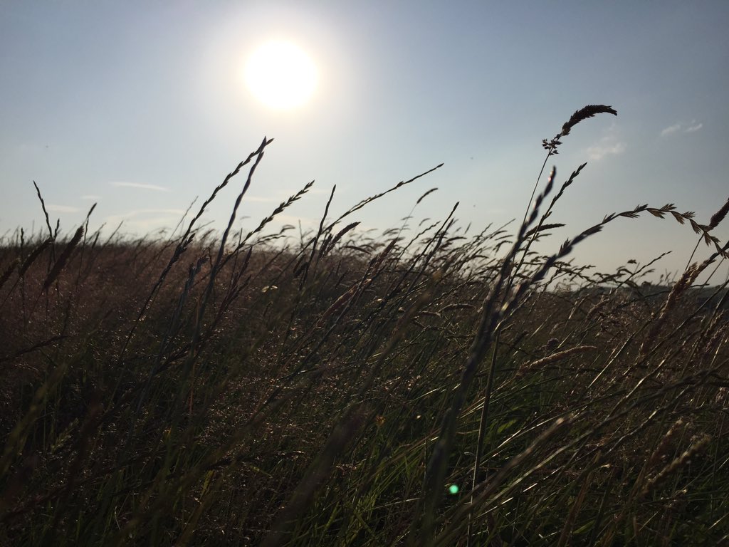 steverees80's tweet photo. Can’t beat a wander in the sun after work. Nice little still round #LeeQuarry in #RossendaleValley ☀️❤️ https://t.co/oRRcVBhivU