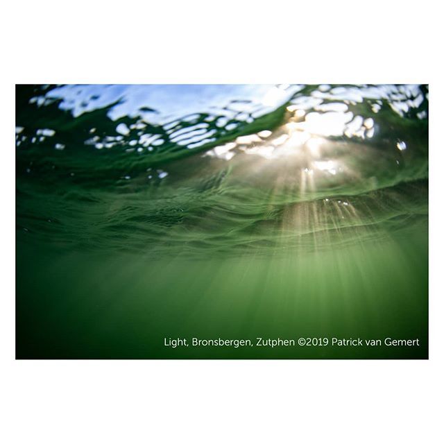 pvangemert's tweet photo. Duiken in Nederland saai? Echt niet! Nog geen halve meter onder het wateroppervlak en dan zie je dit prachtige licht.
#duikeninnederland #duiken #onderwater #onderwaterfotografie #uwp #bronsbergen #zutphen @inzutphen @ikelite @canonnederland #canon #5dm… https://t.co/pOXlC1mkk9 https://t.co/ciZ6CaFjnH