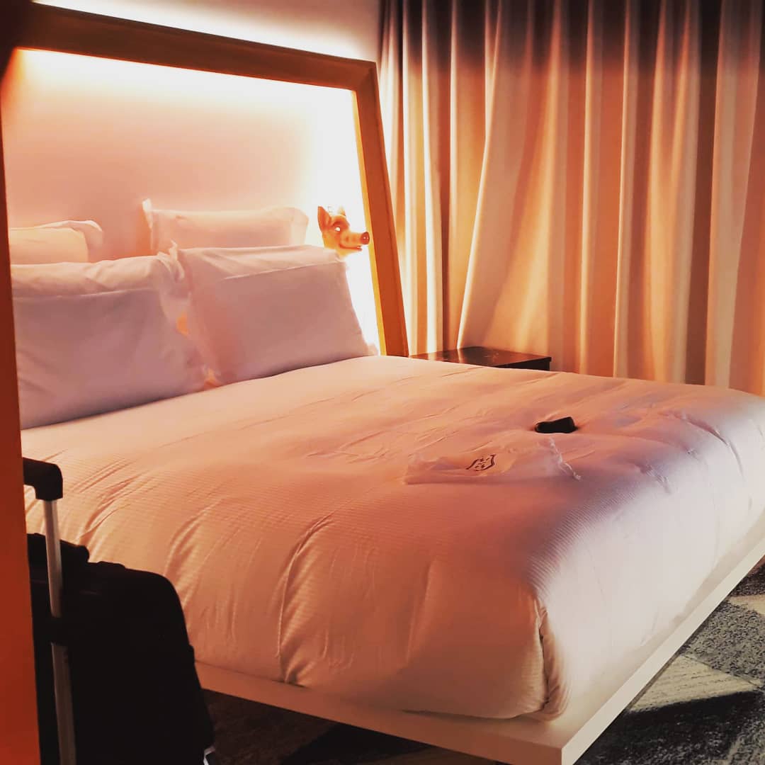 bremaud_s's tweet photo. Un bel accueil au mamashelter de Toulouse ! 😍🤗🥰

#mamashelter #mamasheltertoulouse #toulouse #villerose #lavillerose #toulousevillerose #hotel #goodnight https://t.co/X5EwH4ef03