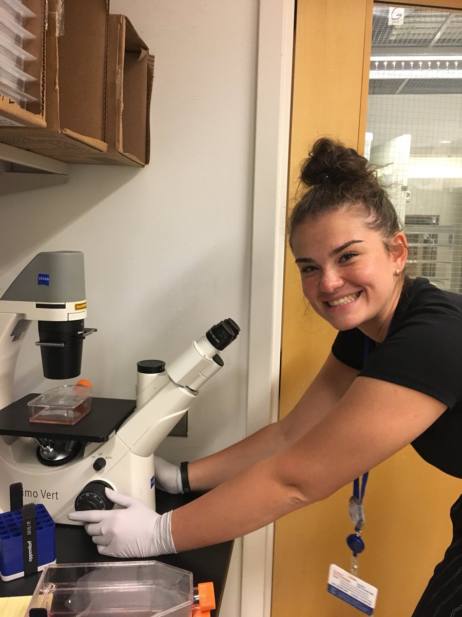 SciResearchAHS's tweet photo. Samantha Khitrov hard at work at  MSKCC this summer looking at genetic variation in small cell lung cancer. Great to see you in action today! Thank you to her awesome mentor and lab team! https://t.co/bdP9e0DvPF