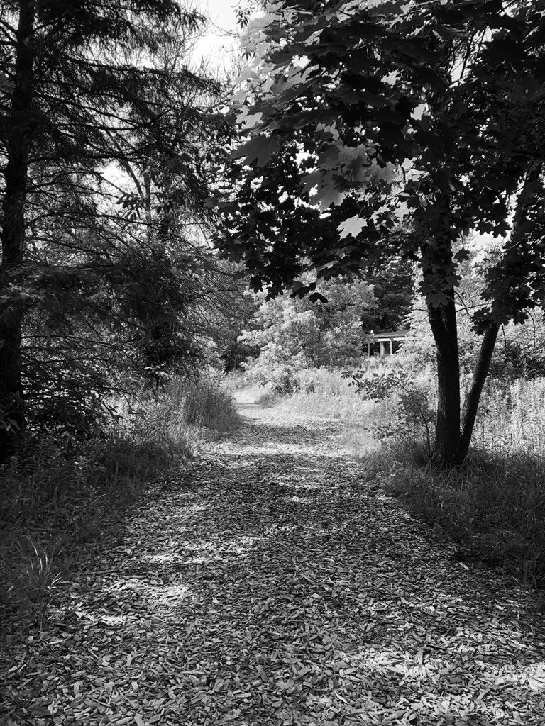 DLHoekstra's tweet photo. Day 5 of 7 B&amp;W photos of my life.

The rule:  No human, no explanations and challenge one new person each day to do the same for 7 days.

I was originally challenged by
@BethKing72 
and challenge
@TCOutlaw22 https://t.co/D306P6766T