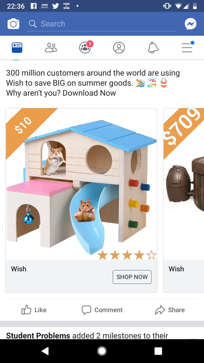 madeleineeoo's tweet photo. Gotta be a personal favourite from Wish, lil guy's having a ball https://t.co/sR7pWGp26u