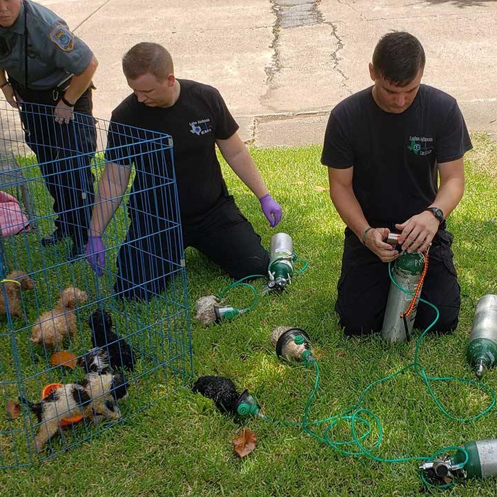 Thank you first responders! The Lake Jackson Volunteer Fire Department, humane department and EMS saved several puppies from a burning home today. #ThankYou #Heroes #HTownRush #KHOU11