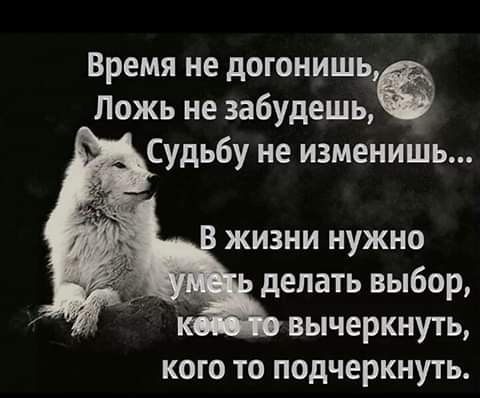 Татьяна Бородина (@ribo4kast) on Twitter photo 