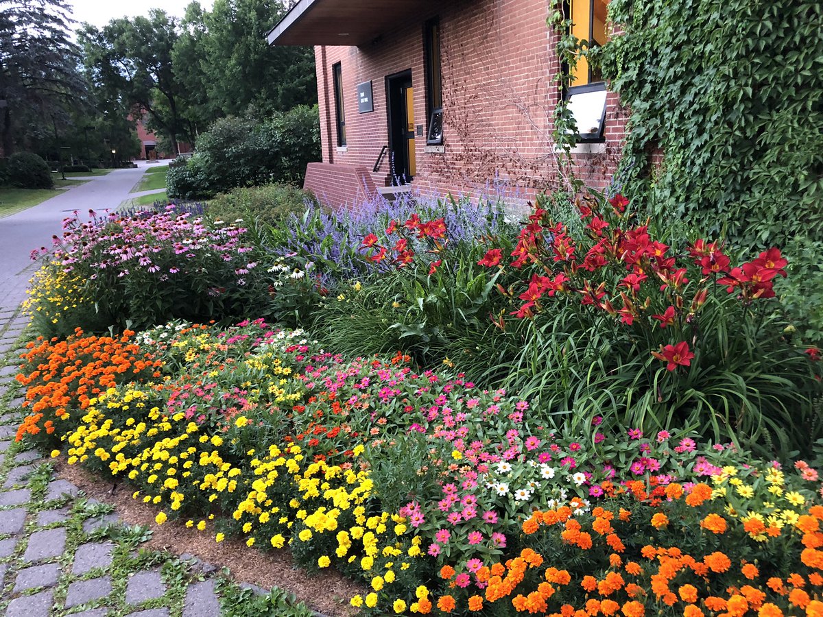 PrezHemesath's tweet photo. Botanical Saint John’s: The Collegeville campus is a place of extraordinary man made and natural beauty in any season. https://t.co/1Uhh6i13tS