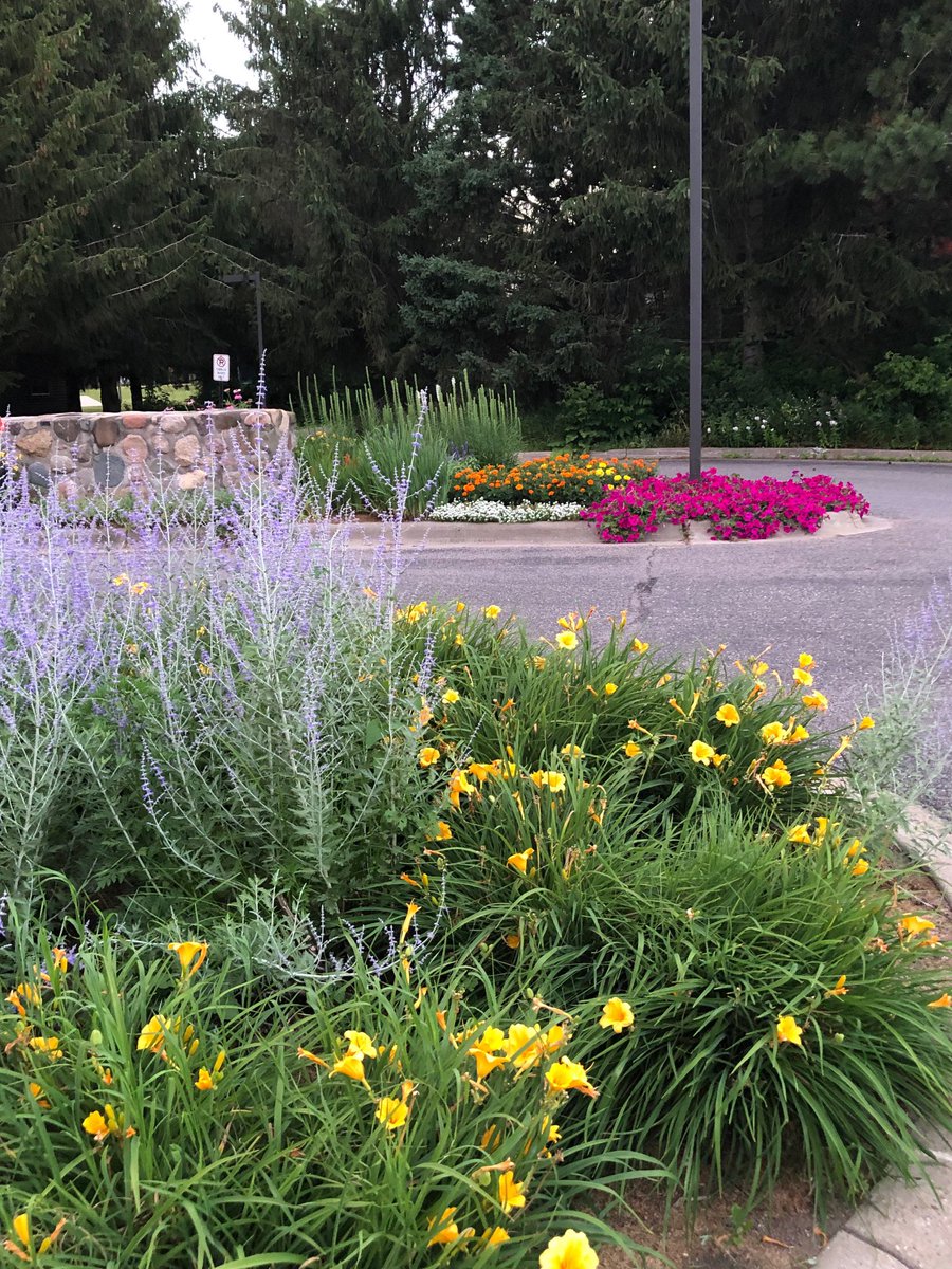 Botanical Saint John’s: The Collegeville campus is a place of extraordinary man made and natural beauty in any season.