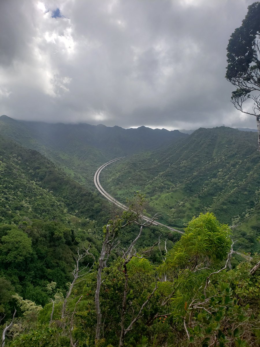 GovsTLC's tweet photo. @GovsTLC kicks off the school year with a hike at Aiea Loop Trail. We're getting ready for another year of teachers empowering teachers. https://t.co/YxOhE4l0iM