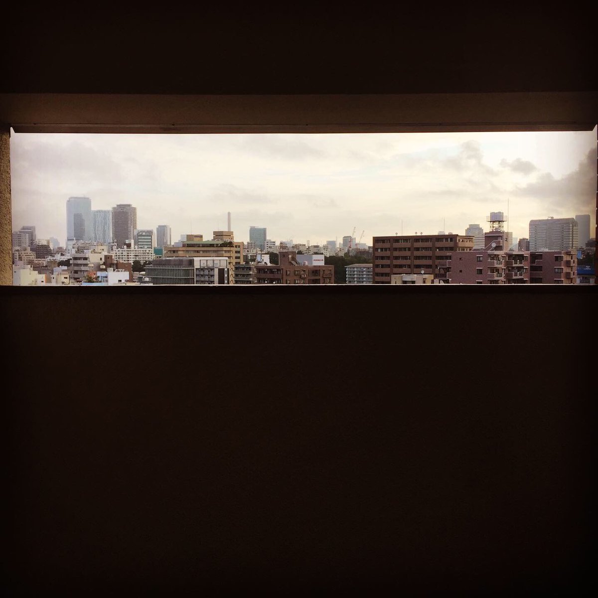 RuiHashimoto's tweet photo. おはようございます!ラジオ体操5日目終了して二日酔い朝ランへ!その後は仙台へ!
#サウシュー #stingrun #run #running #adidas #朝ラン #ランニング #ラン #urbanrunning #adidasrunning #adidasultraboost #streetrunning #アディダス #tokyo #tokyorunning
https://t.co/WPTsX1dtG2 https://t.co/itbjJw1Yzw