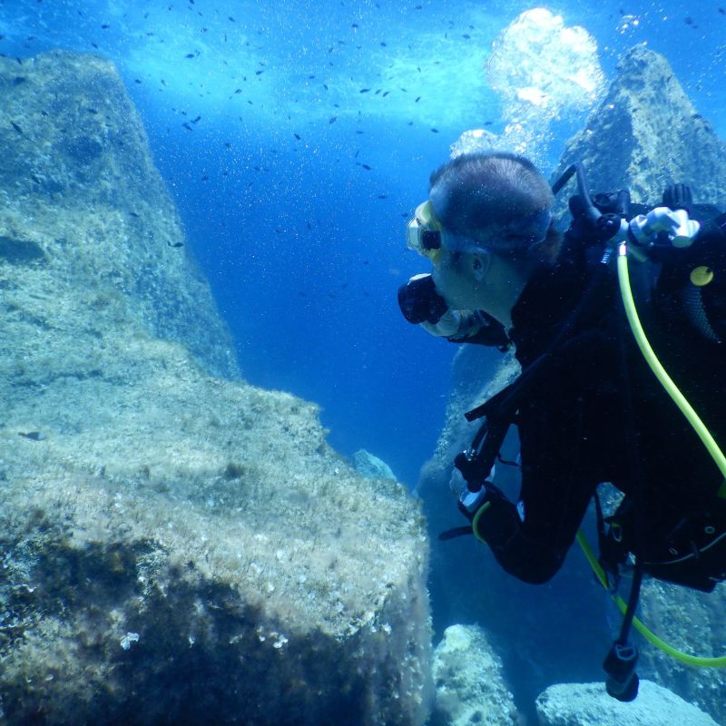 glugdiver's tweet photo. 🐚 🐠 Last minute August holidays?  🐙 ⛵ - https://t.co/iHmG87a2Ey https://t.co/5YJC66rYwf