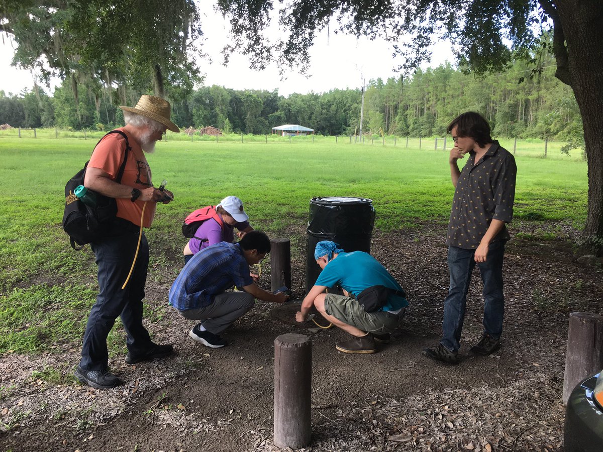 Aluckymyrmex's tweet photo. Out in the field collecting Nylanderia fulva, the notorious Tawny Crazy Ant. Thanks @RachSci and @JLWilliAnts for sharing the discovery of this site! #invasiveantbootcamp #UFBugs https://t.co/Wv6Z3eHjdh