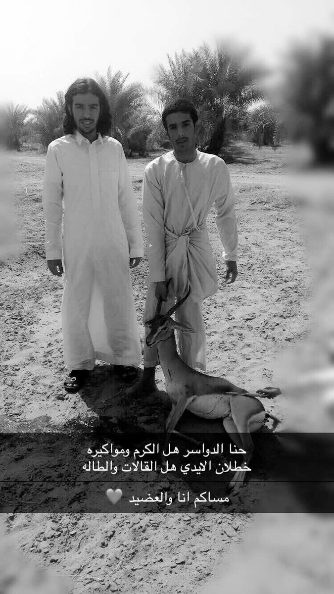 عزوه في نجد محد يجهلنا 
لاد مسعر نارها بالفخر حيه