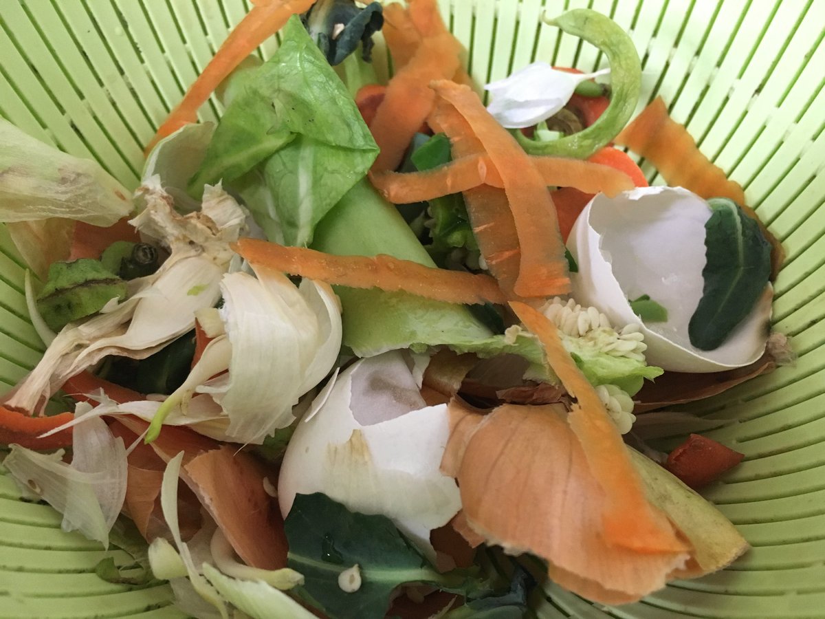 GomiKitchen's tweet photo. きょうの生ゴミ169g
にんじん、オクラ、卵の殻、玉ねぎ、ニンニク、ブロッコリー、ピーマン
#compost 
#コンポスト
#kitchengarbage
https://t.co/ayPc6xlHkx https://t.co/WojF4bn75l