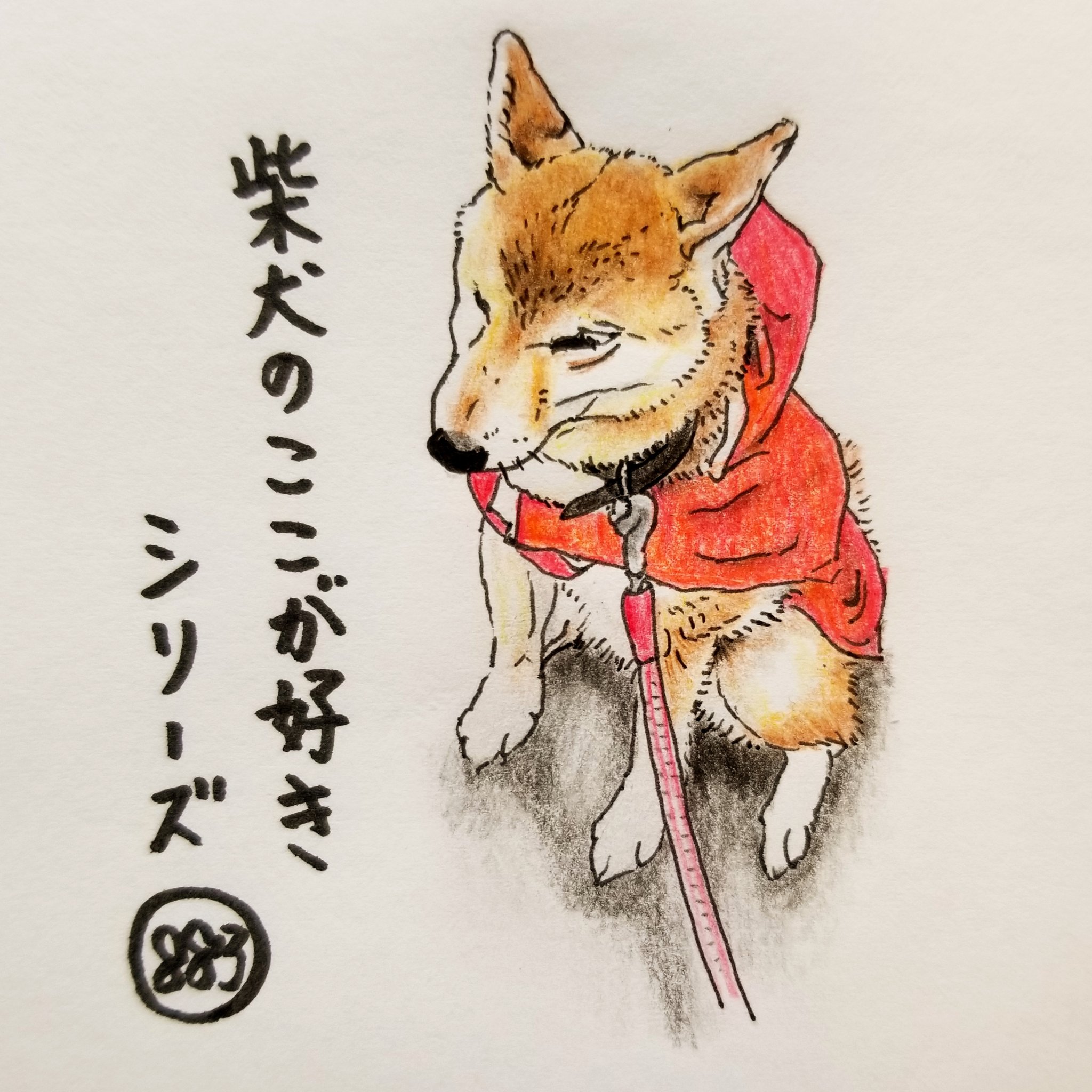 تويتر ここ柴 على تويتر 雨の日のお散歩で びしゃびしゃの地面に ふいに腰をおろすとこ あー 濡れるからやめてー 柴犬のここが好き ここ柴 ここ柴部 柴犬 イラスト カッパ 雨さんぽ T Co Mzoem0wkoa