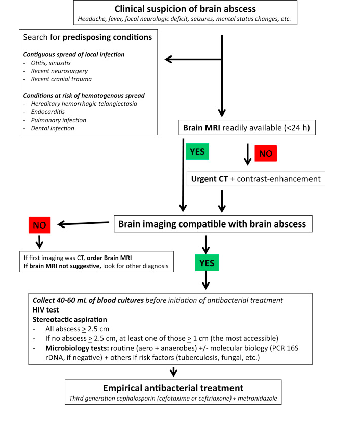 AnnaNdamba's tweet photo. A potential algorithm for management of brain abscess. #OTILT @BWDionne @G_loves_Pacman @mmaleissa @JennaKabBWH 
https://t.co/udYHg89t5H https://t.co/bBbEY2ufKD