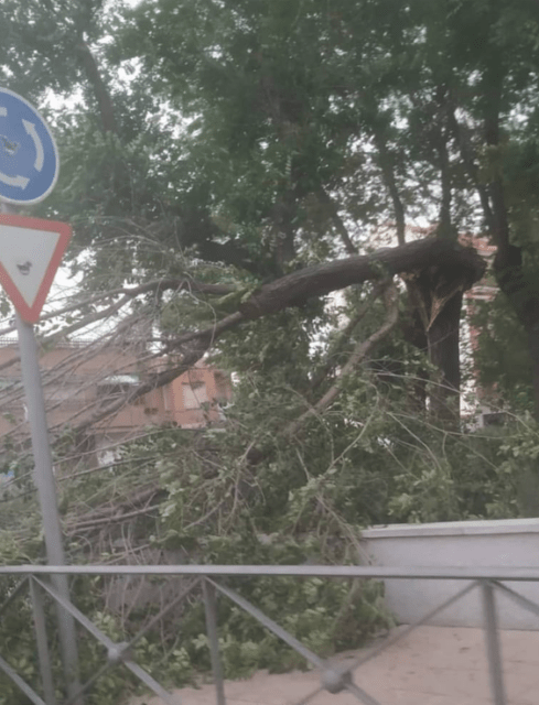 Tormentas y viento provocan múltiples incidentes en Toledo y Ciudad Real 30diastoledo.es/tormentas-y-vi…