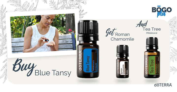 OilsByStephanie's tweet photo. Today only, July 23, when you buy Blue Tansy 5 mL, you will receive Roman Chamomile 5 mL and Tea Tree (Melaleuca) 15 mL for free!

Blue Tansy is soothing to mind and body. It is high in chamazulene and sabinene, which are key for restorative massage afte… https://t.co/SxdDlBBrLE https://t.co/ILhteuTOzk