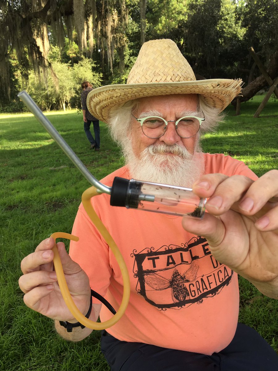 Aluckymyrmex's tweet photo. @KevinMcWho has mastered the art of collecting Tawny Crazy Ants with a pooter. #entoskills #invasiveantbootcamp #UFBugs https://t.co/gK1O3G089z