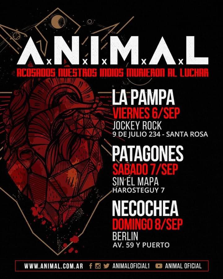 TAUROS43630410's tweet photo. 8 de septiembre A.N.I.M.A.L en Necochea https://t.co/LacAv31Yjh