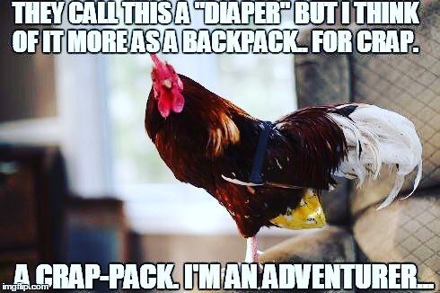 pbliztherooster's tweet photo. #tbt to the first time pBlizz discovered the freedom of wearing chicken diapers or crap-packs as he called them. https://t.co/n7WLaAJNeT https://t.co/OGqqUaB1HL