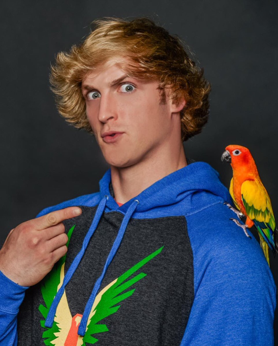 team10logang17's tweet photo. R.I.P Maverick (@loganpaul Bird), You Are Truly Amazing With The Movement Your Represent With Maverick Merchandise https://t.co/HV85KIl6Qw