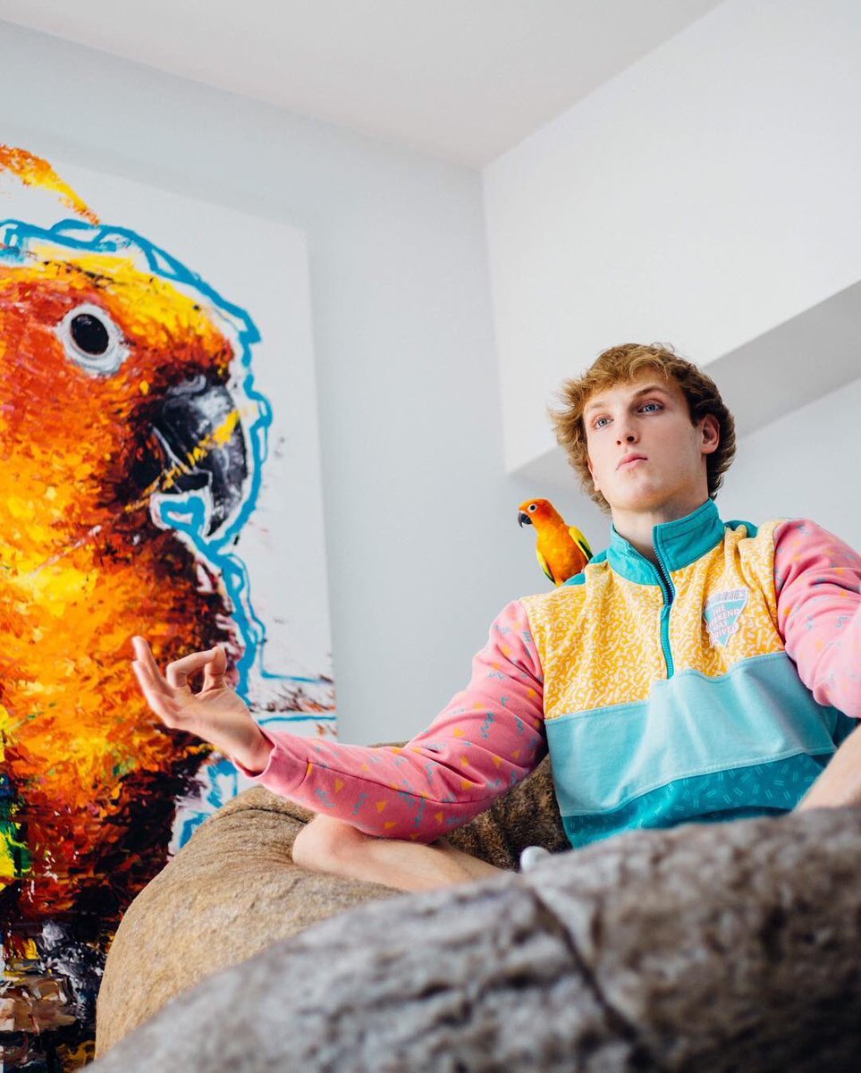 team10logang17's tweet photo. R.I.P Maverick (@loganpaul Bird), You Are Truly Amazing With The Movement Your Represent With Maverick Merchandise https://t.co/HV85KIl6Qw