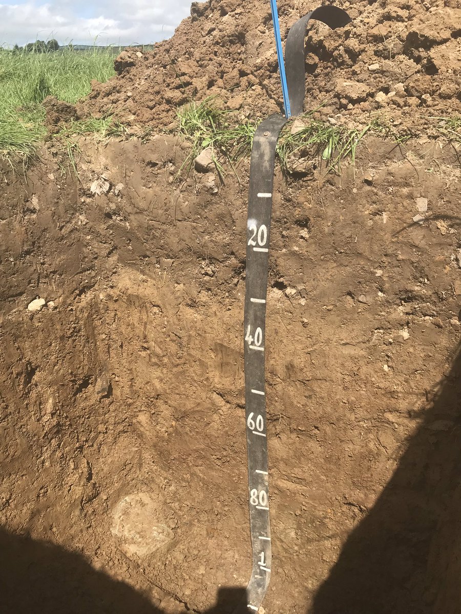 bioluisinho's tweet photo. In Dunleer today, digging up a relatively young &amp; drained #soil, puzzled by the changes in texture throughout the profile &amp; the plastic artifacts in the A horizon.
—> We named it as “Anthropic Brown-Earth” (likely to be a #Cambisol in @2015Wrb).

Nice final treat to enjoy the☀️! https://t.co/EZ2Yl6DPfj