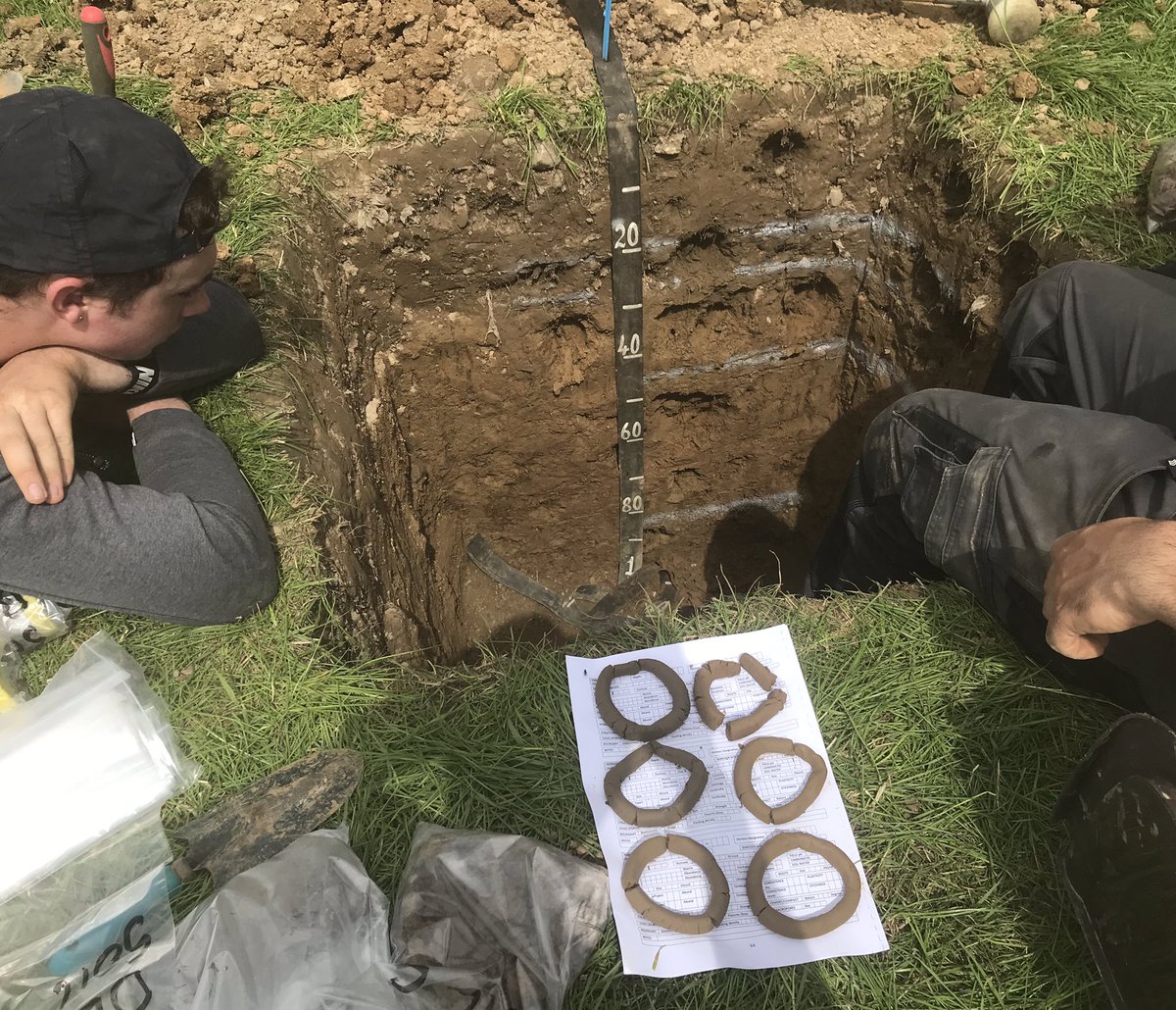 bioluisinho's tweet photo. In Dunleer today, digging up a relatively young &amp; drained #soil, puzzled by the changes in texture throughout the profile &amp; the plastic artifacts in the A horizon.
—> We named it as “Anthropic Brown-Earth” (likely to be a #Cambisol in @2015Wrb).

Nice final treat to enjoy the☀️! https://t.co/EZ2Yl6DPfj