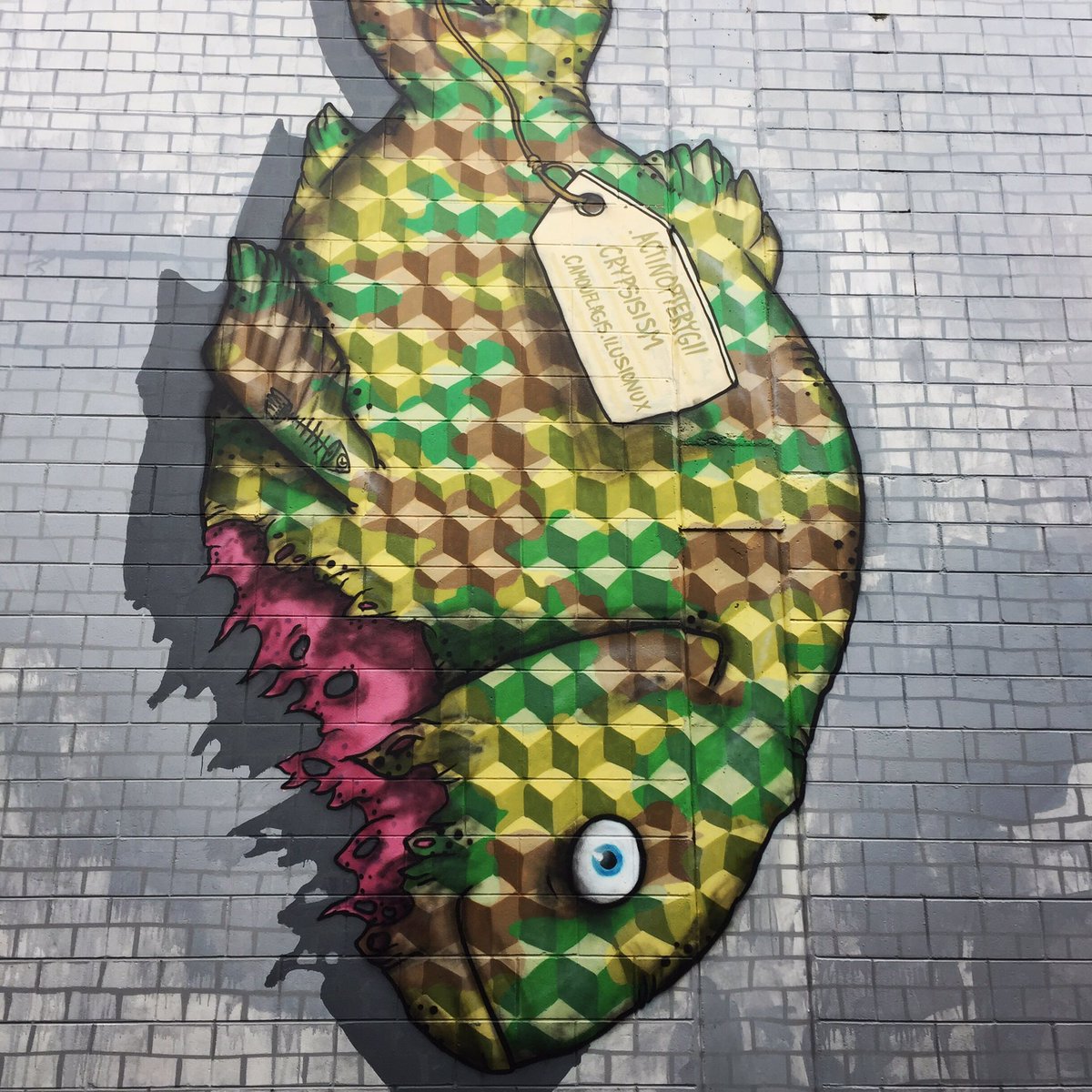 BriarJensen's tweet image. Cool #streetart in @LoveTaupoNZ you can see on a self-guided walk, the result of #graffiato festival each October. #astw