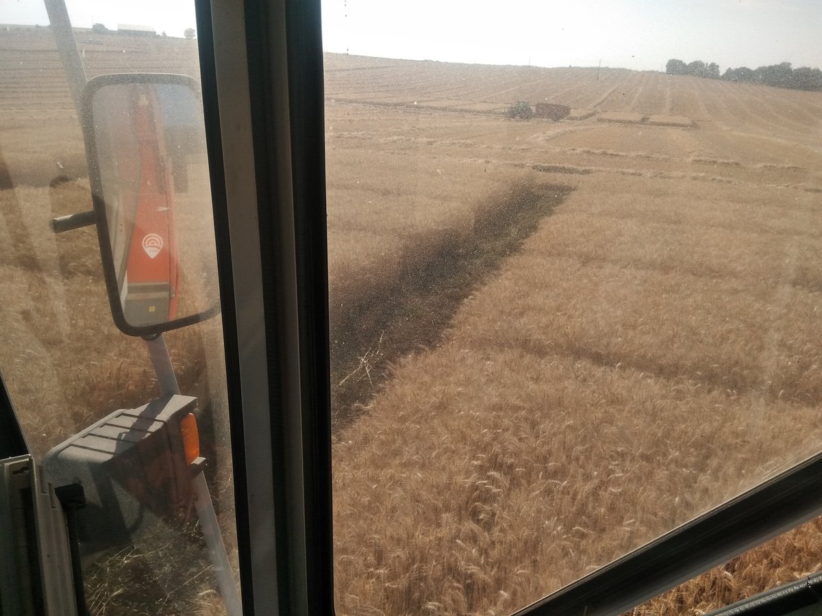 BenoitMallinger's tweet photo. Aujourd'hui récolte des essais fongicide de @beApi_Coop sur 2 zone de potentiel. Et après 376 micro sur 6 essais et une première de la saison fauché de nuit voilà les blés de fini reste que un essai orge de printemps. Cela sens la fin. #moissonemc2 #ceuxquifontlesessais. https://t.co/eAudsRUZOy