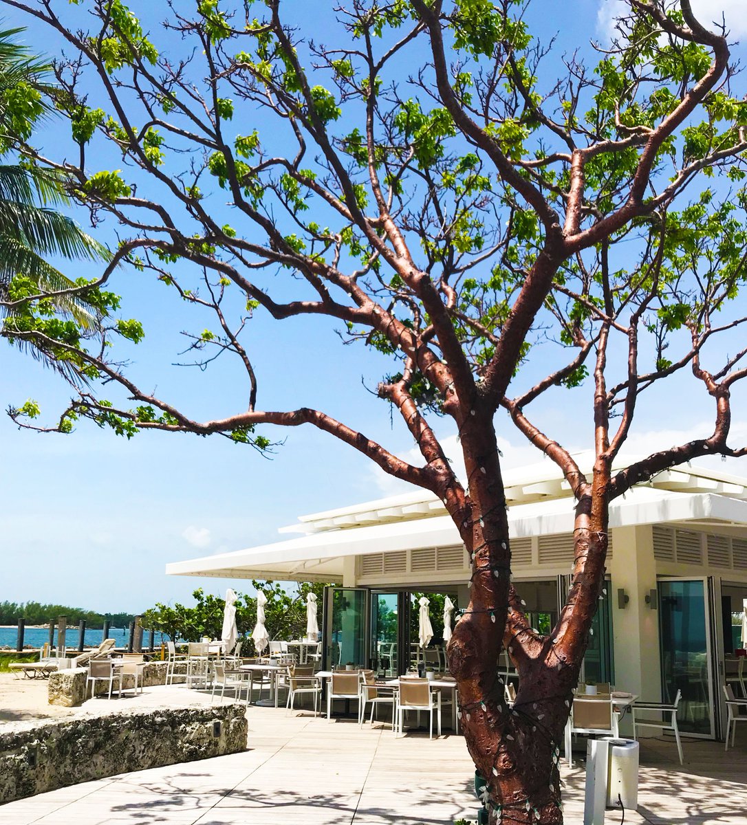 sshresorts's tweet photo. Vacay or stay-cay, your waterfront retreat is here ☀️🌊
Book direct and save on your #Summer2019 Vacation in #Miami 🌴#LinkInBio
.
.
.
.
#Miami #SouthBeach #OceanDrive #SoBe #MiamiBeach #Vacation #Getaway #BeachLife #MiamiLiving #Travel #OffTheMap #WorkAndPlay #ViewFromTheTop https://t.co/dWOKB4IADD