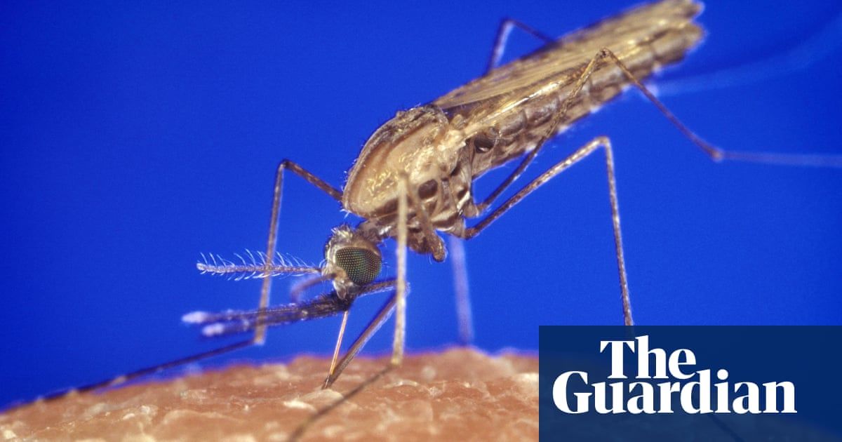 CentreHealthSec's tweet photo. Article by @GuardianAus highlights progress in the fight to eliminate #malaria in Myanmar 🇲🇲 led by community-based workers 📰🔗  https://t.co/FR7dsTx7hz https://t.co/y51yYh73g8