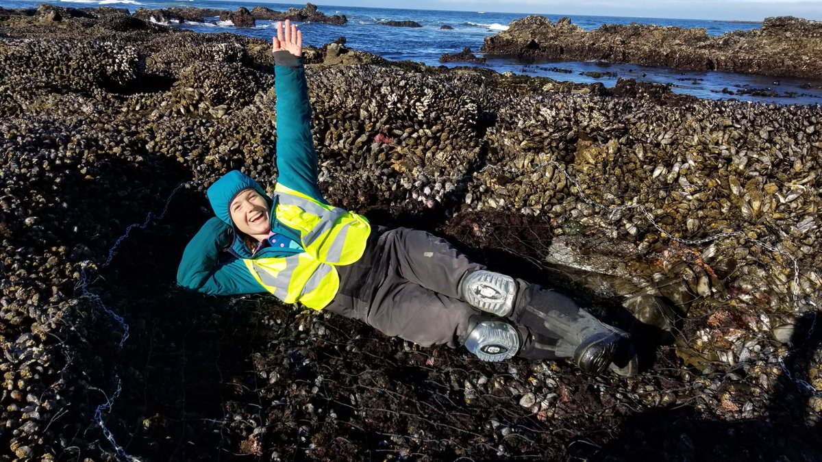Summer brings lots of new faces to <a href="/HatfieldMSC/">OSU Hatfield</a> for field season! Check out the cool work visiting student @JennBFields is conducting on how intertidal foundation species influence ecosystem function &amp; how the relationship changes when these species are lost #honoraryHSO