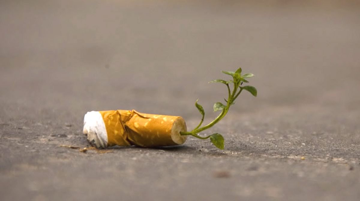 Daniela Faé (@_danifae) | Twitter