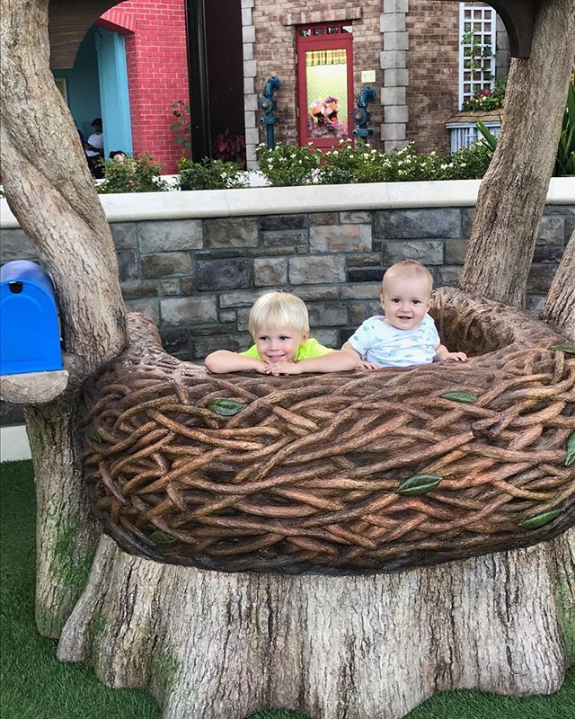 mike2flynn's tweet photo. Bird birds net. Fact. #seadaworld https://t.co/cpQH9mr53X https://t.co/A7Ca6yZ0jY
