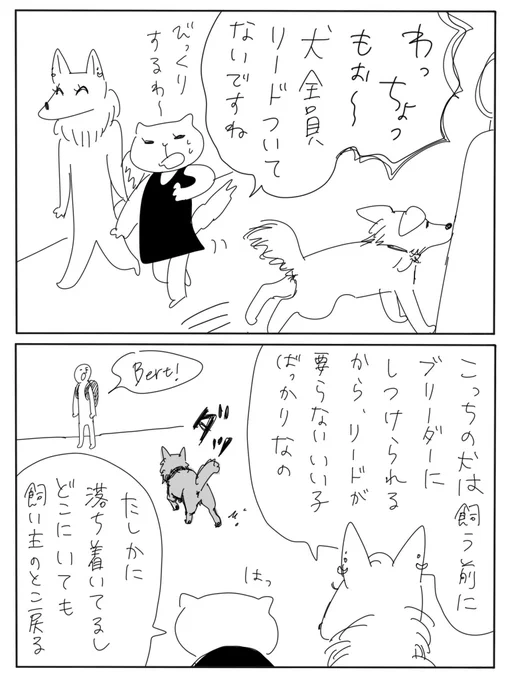 ドイツ日記③
犬 