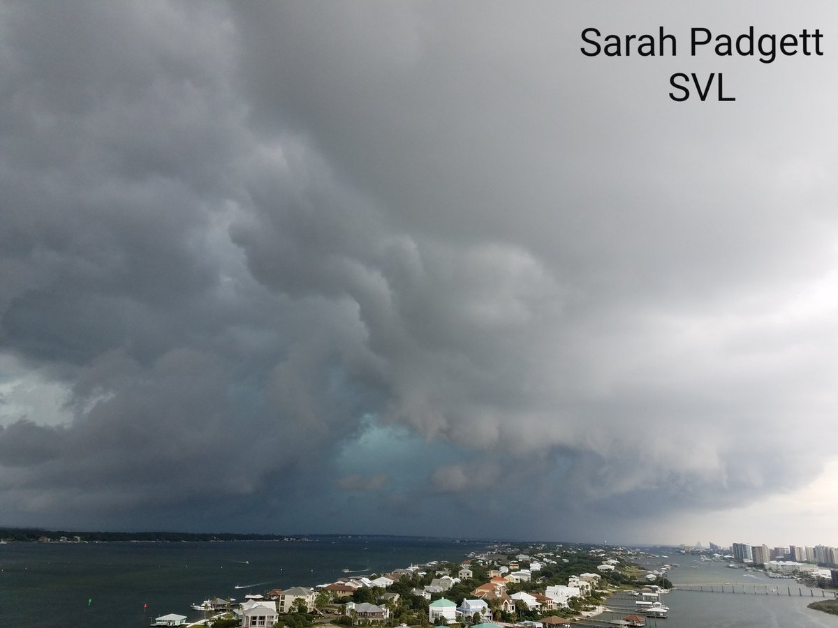 Sarah Padgett tweet media