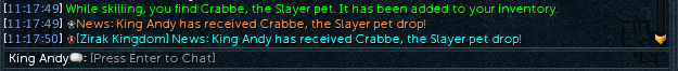 KingAndyRS's tweet photo. Another pet to add to the collection... https://t.co/4u4Fp7miCu