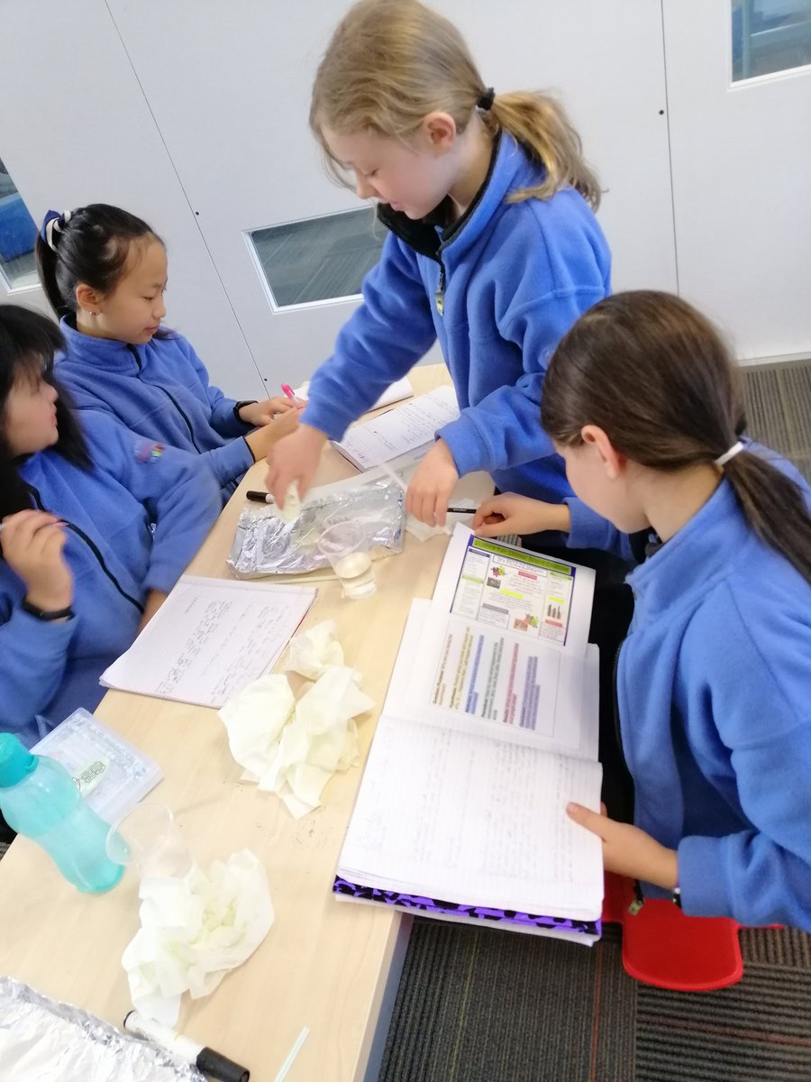 naomi_toland's tweet photo. #SFSBK trying out and experimenting with 'dancing spiders' to see if my hypothesis is correct. #bringingourbesttogether writing my conclusions while watching what my partner did #buzzinbrains #SFSStudentvoice @StonefieldsSch @GCadelis @nicole_m_walsh https://t.co/hNpN98k9X3