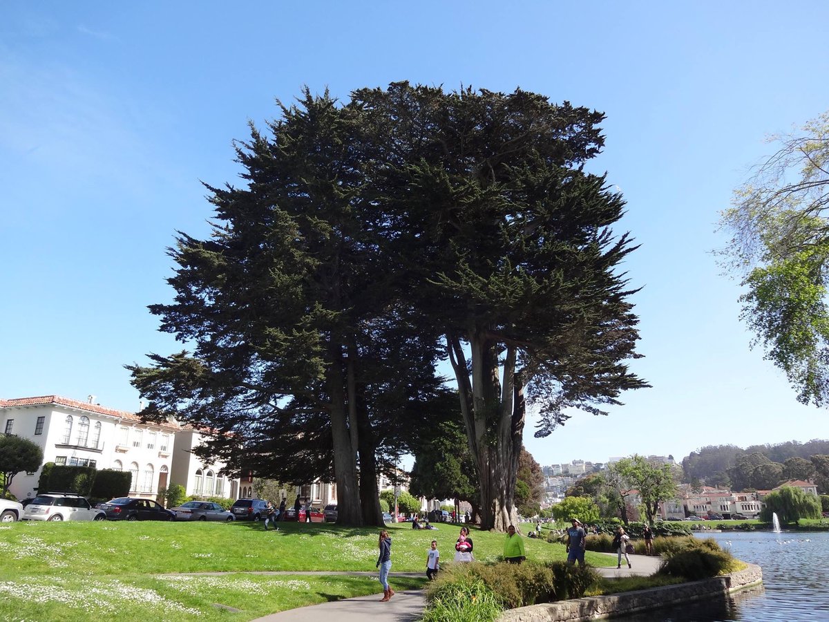 SPOSM1's tweet image. Which one is more important to you,,, fruit or seed? Stop and think.