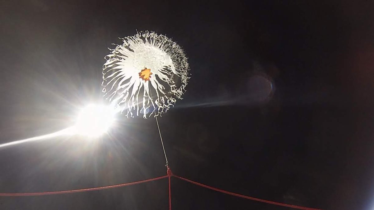 Back to Space 🌎 tweet media