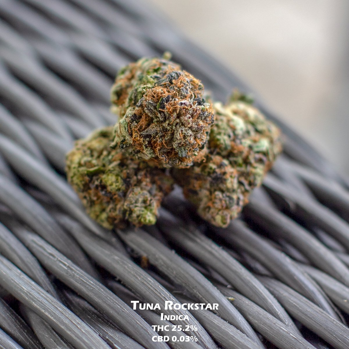 MJBlogCanada's tweet photo. What's your favorite strain? 😜💨
Weed @MaryjanesOka
#stonerfam #MJBlog #WeedLover #weedpics #stayhigh #stonernation #hemp #IamCannabis #terps #tuesdaymotivation #cannabis #cannabiscommunity #weed #marijuana #cannabisculture #cannabiscanada #TuesdayMotivation #stonerlife https://t.co/dS011Sqmpa