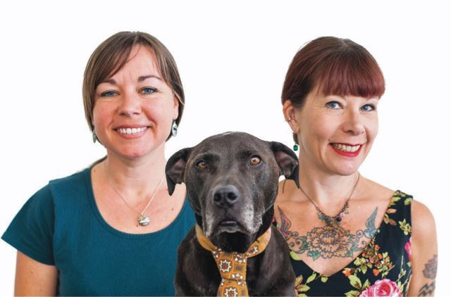 Meet the Finalists #48:
THANKYOU PAYROLL
Finalists Team Gold
A new wave way to pay 
tinyurl.com/y2nqaond
LEARN MORE: thankyoupayroll.co.nz <a href="/ThankyouPayroll/">Thankyou Payroll</a>