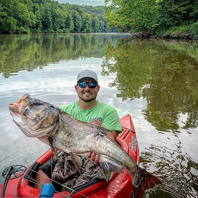 YUDUOutdoors's tweet photo. Kayak and a Bow!! My kind of fishing @kyle_heaverin7 γ»γ»γ»
YAK-ATTACK BOWFISHING!! #bowfishing #yakfishing #justyakin #forcefeedem #kayakbowfishing #creekbankjunkies #bowfishinglife #whatgetsyououtdoors #yakattack #iamsportsman #bowfishingaddict #putah⦠https://t.co/lkaVyrb3m3 https://t.co/dJZWRFKBhC