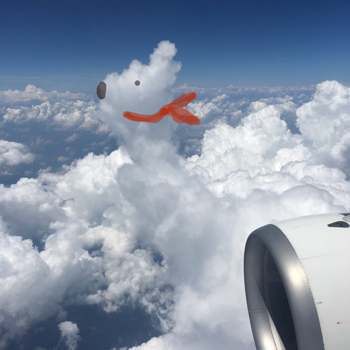 飛行機に乗ってる時間って暇だから 雲の写真撮ってラクガキするとめっちゃ楽しいよ 暇つぶしの天才 子供なら何時間でもやりそう Togetter