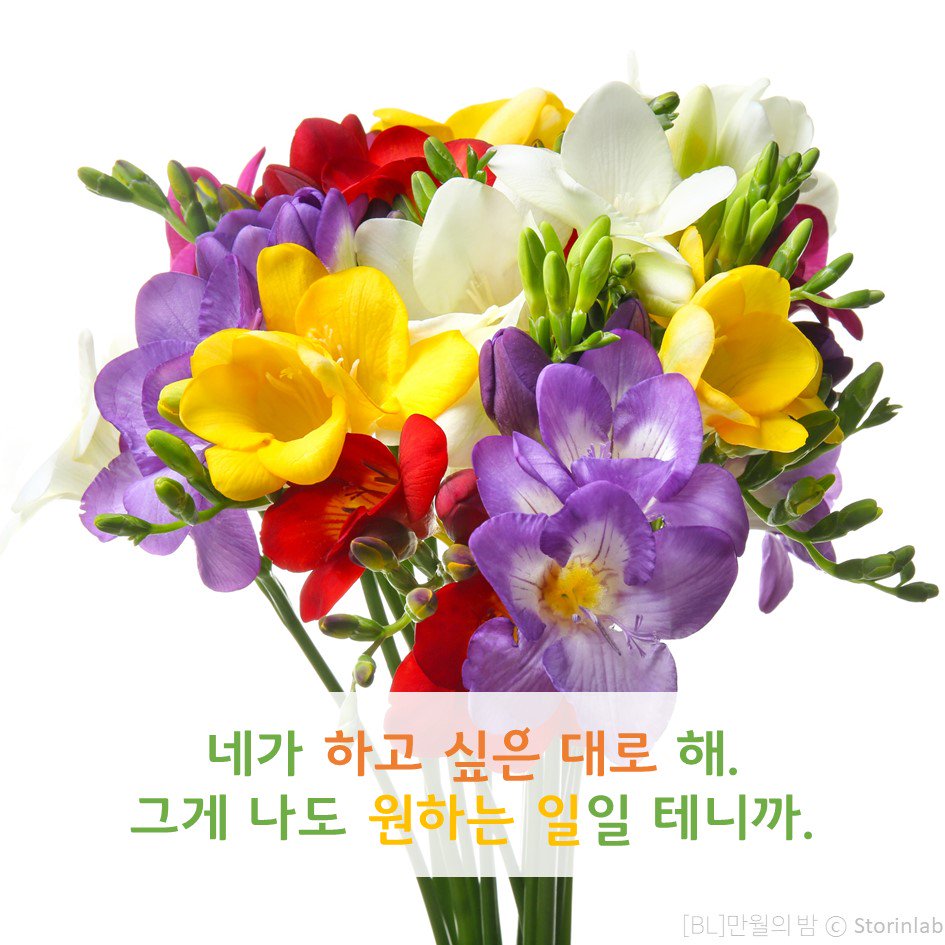 storinlab_new's tweet photo. 퍼플캣 작가님의 19BL소설 『만월의 밤』
“이제 내 욕구만 채울게요.”

알라딘에서 『만월의 밤』을 검색해보세요!
👉https://t.co/U9C9dK3VLC

#만월의밤 #퍼플캣 #알라딘 #1차BL #체셔 https://t.co/Ygbdf8Jbqi